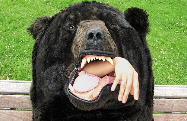 Grizzly Bear.animalia,chordata,mammalia,carnivora,caniformia,ursidae,bear,wild life,black bear